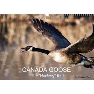 Canada Goose Le Chateau